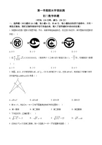 山东省泰安市泰山区2024-2025学年上学期七年级（五四制）数学期末试题（原卷版+解析版）