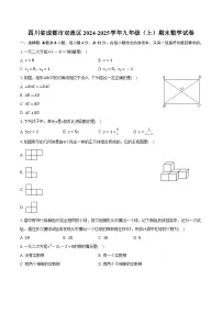 四川省成都市双流区2024-2025学年九年级（上）期末数学试卷-【含答案】