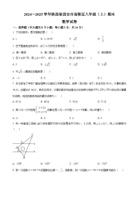 陕西省西安市高陵区2024-2025学年八年级上学期期末数学试卷（原卷版+解析版）