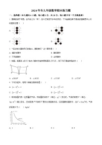 江西省赣州市瑞金市2024—2025学年上学期期末考试九年级数学试题（原卷版+解析版）
