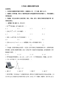 河南省新乡市辉县市2024-2025学年八年级上学期1月期末数学试题（原卷版+解析版）