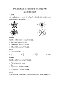 广西河池市天峨县2024-2025学年八年级上学期期末数学试卷（解析版）