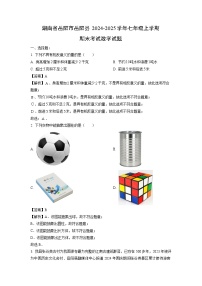 2024~2025学年湖南省岳阳市岳阳县七年级上学期期末考试数学试卷（解析版）