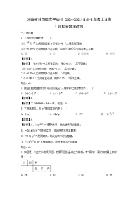 2024~2025学年河南省驻马店市平舆县七年级上学期1月期末 (1)数学试卷（解析版）