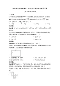 2024~2025学年河南省漯河市召陵区七年级上学期1月期末 (1)数学试卷（解析版）
