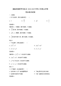 2024~2025学年湖南省衡阳市祁东县八年级上学期期末考试数学试卷（解析版）