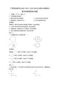 2024~2025学年广西防城港市上思县上学期九年级期中教学质量监测数学试卷（解析版）