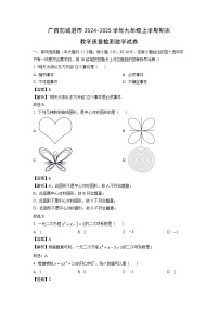 2024~2025学年广西防城港市九年级上学期期末教学质量检测数学试卷（解析版）