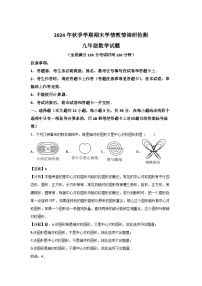 2024~2025学年广西河池市九年级上学期期末检测数学数学试卷（解析版）