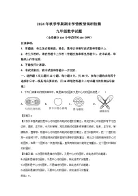 2024~2025学年广西河池市九年级上学期期末检测数学数学试卷（解析版）
