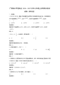 2024~2025学年广西梧州市苍梧县七年级上学期期末数学试卷（解析版）