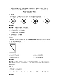 2024~2025学年广西壮族自治区防城港市八年级上学期期末考试数学试卷（解析版）