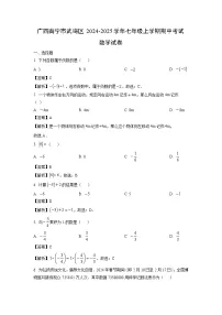 2024~2025学年广西南宁市武鸣区七年级上学期期中考试数学试卷（解析版）