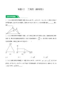 专题12 三角形-5年（2020-2024）中考1年模拟数学分类汇编（河南专用）