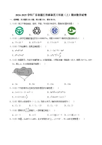2024-2025学年广东省湛江市麻章区八年级（上）期末数学试卷（含详解）