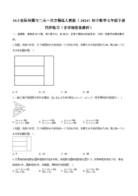 初中数学人教版（2024）七年级下册（2024）10.3 实际问题与二元一次方程组精品达标测试