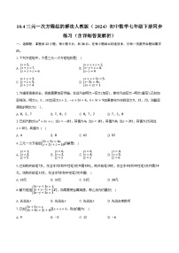 人教版（2024）七年级下册（2024）10.4 三元一次方程组的解法精品精练