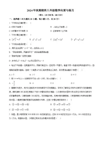河南省南阳市内乡县2024-2025学年八年级上学期1月期末数学试题（原卷版+解析版）