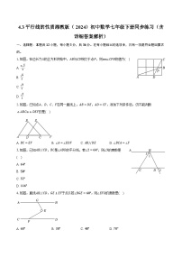 初中湘教版（2024）第4章 平面内的两条直线4.3 平行线的性质优秀练习