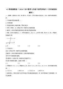 初中数学湘教版（2024）七年级下册（2024）4.5 垂线精品达标测试