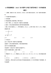 初中数学湘教版（2024）七年级下册（2024）4.5 垂线精品达标测试