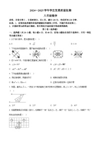 广东省佛山市禅城区2024-2025学年八年级上学期期末考试数学试题（原卷版+解析版）