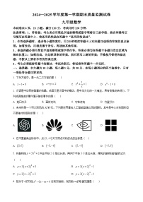 广东省阳江市阳西县2024-2025学年九年级上学期期末考试数学试题（原卷版+解析版）