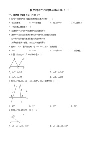 上海市实验学校南校2024-2025学年七年级下学期数学3月月考卷（原卷版+解析版）