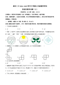 福建省漳州市第三中学2024-2025学年九年级下学期3月月考数学试题（原卷版+解析版）