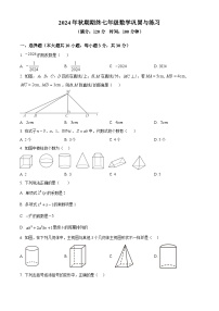 河南省南阳市内乡县2024-2025学年七年级上学期1月期末考试数学试题（原卷版+解析版）