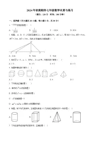 河南省南阳市内乡县2024-2025学年七年级上学期1月期末考试数学试题（原卷版+解析版）