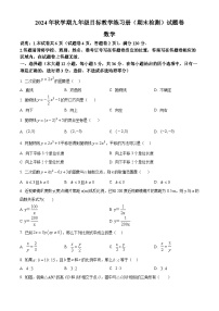 广西梧州市苍梧县2024—2025学年上学期九年级期末数学试卷（原卷版+解析版）