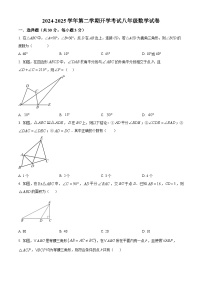 甘肃省武威武威第二十五中学联片教研2024-2025学年下学期开学考试八年级数学试卷 （原卷版+解析版）