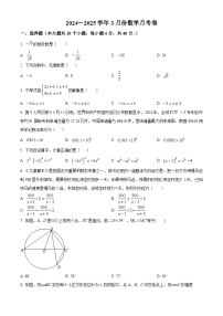 福建省漳州市实验中学2024-2025学年下学期九年级3月月考数学试题（原卷版+解析版）
