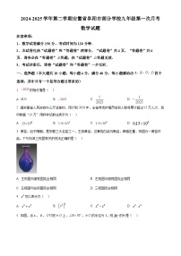 安徽省阜阳市部分学校2024-2025学年下学期九年级第一次月考数学试题 （原卷版+解析版）