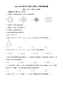 湖北省武汉市二中广雅中学2024-2025学年九年级下学期数学3月测试题 （原卷版+解析版）