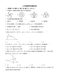 安徽省淮南市高新区多校联考2024~2025学年九年级上学期数学期末检测试卷（原卷版+解析版）