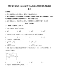 四川省攀枝花市盐边县2024-2025学年九年级上学期1月期末数学试题（原卷版+解析版）