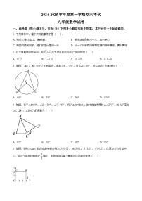 河南省商丘市夏邑县2024-2025学年九年级上学期1月期末数学试题（原卷版+解析版）