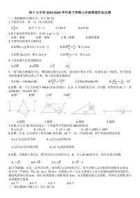 2025年哈尔滨17中学七年级下学期开学数学试卷和答案