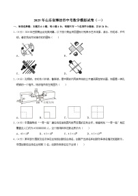 2025年山东省潍坊市中考数学模拟试卷（一）