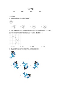 初中数学人教版（2024）七年级下册（2024）平移精练