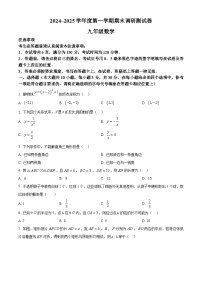 江苏省南通市如东县2024-2025学年九年级上学期1月期末考试数学试卷（原卷版+解析版）