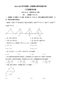 河北省沧州市盐山县2024-2025学年八年级上学期1月期末数学试题（原卷版+解析版）