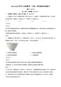 广东省深圳市龙岗区宏扬学校2024-2025学年九年级下学期3月月考 数学试题（含解析）
