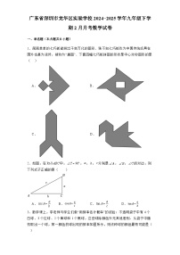 广东省深圳市龙华区实验学校2024-2025学年九年级下学期2月月考 数学试卷（含解析）