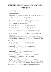 河南省鹤壁市外国语中学2024-2025学年七年级下学期开学 数学测试卷（含解析）