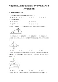 河南省南阳市八年级多校2024-2025学年上学期第三次月考八年级 数学试题（含解析）