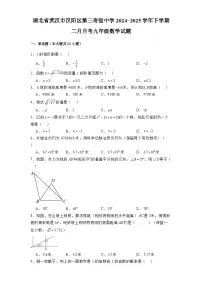湖北省武汉市汉阳区第三寄宿中学2024-2025学年下学期二月月考九年级 数学试题（含解析）