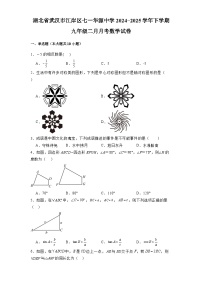 湖北省武汉市江岸区七一华源中学2024-2025学年下学期九年级二月月考 数学试卷（含解析）